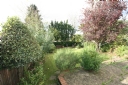 Property to rent : Barn Way, London HA9
