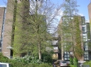Property to rent : Thames Reach, 80 Rainville Road, London W6