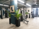 Property to rent : The Georgette Apartment, 87 Sidney Street, London E1