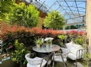 Property to rent : Windsor Square SE18