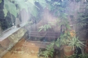 Property to rent : Colosseum Terrace, London NW1
