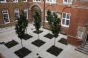 Property to rent : Kingsway Square, Battersea Park, London SW11